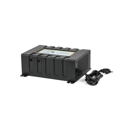 Lion Energy Savanna BC 45A LiFePO4 Battery Charger - image 1